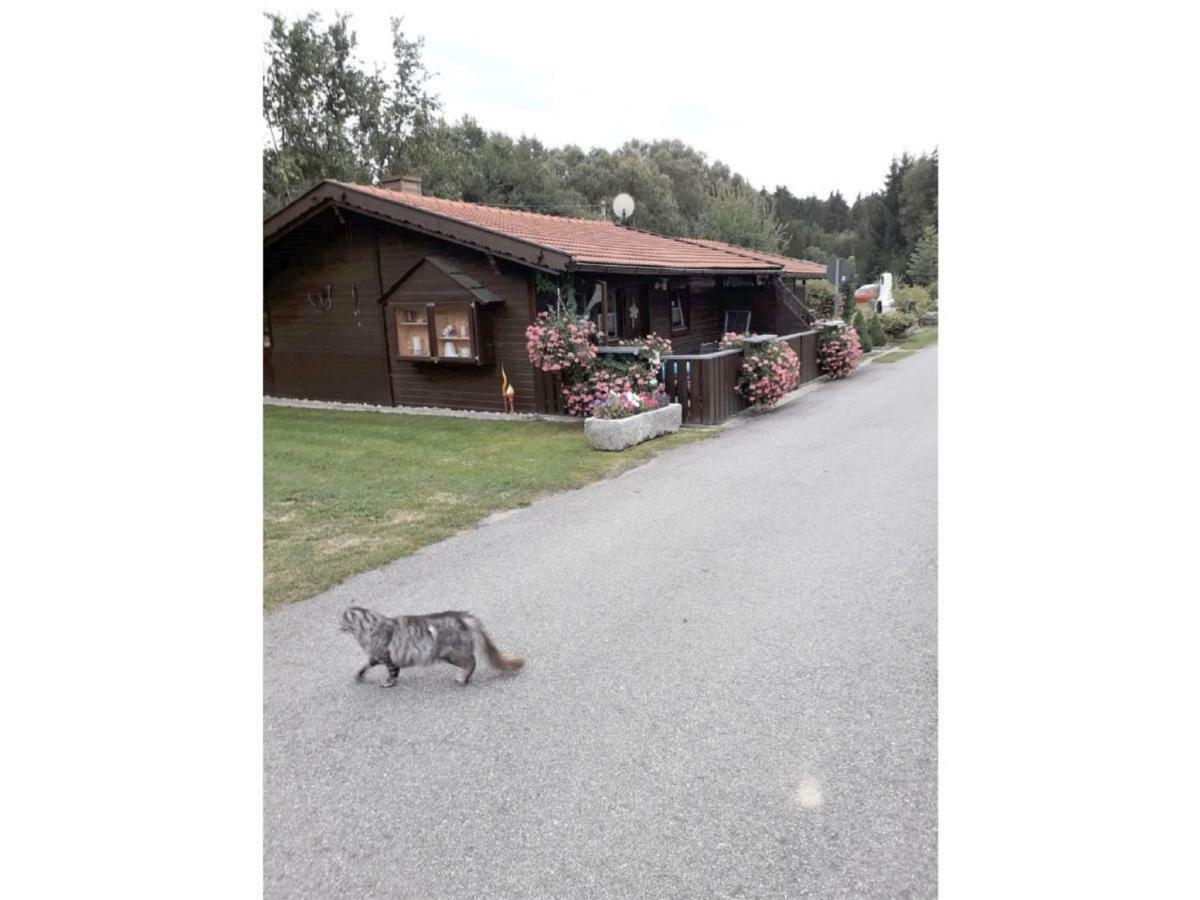 Gerda'S Ferienhaeuser Eppenschlag Exteriér fotografie