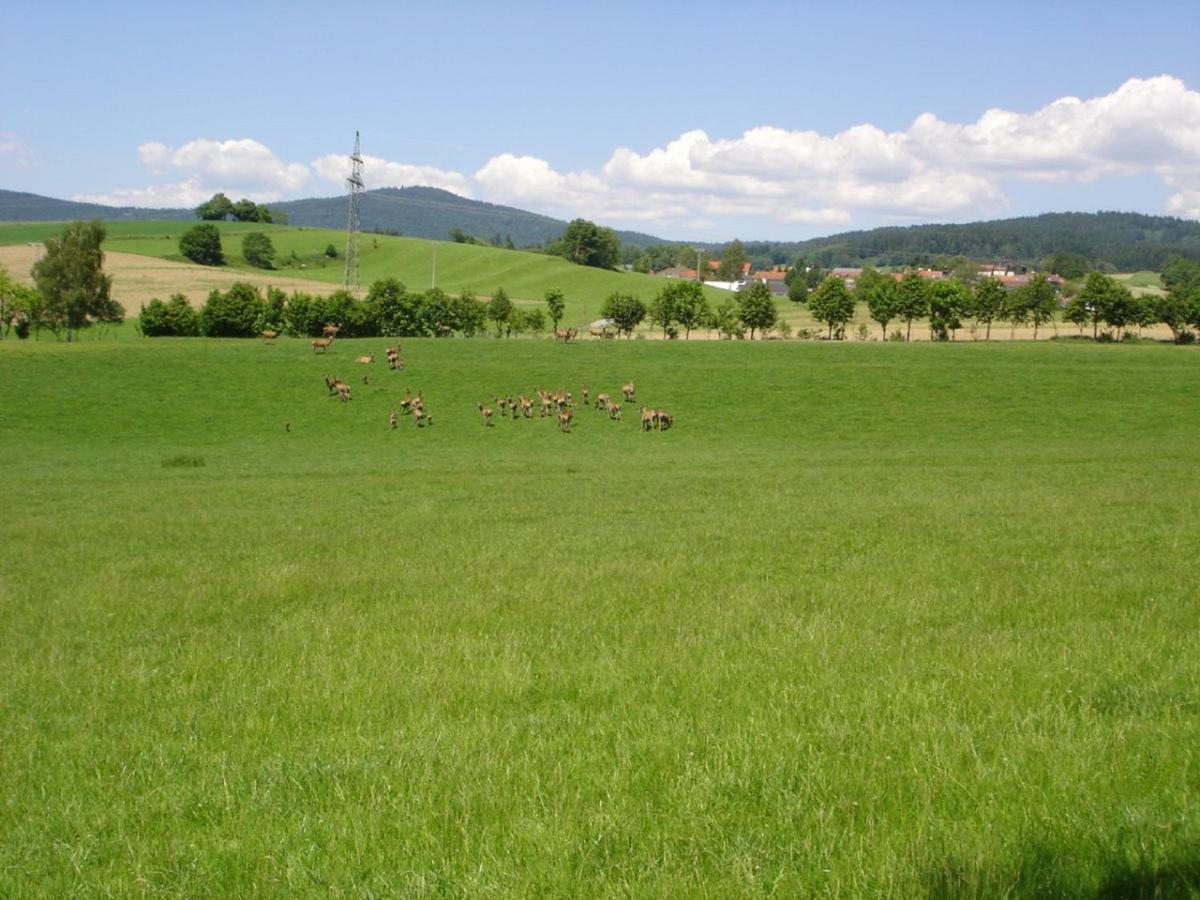 Gerda'S Ferienhaeuser Eppenschlag Exteriér fotografie